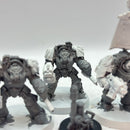 Warhammer 40k: Space Marines Terminators with Forge World Shoulder Pads (AZ190)