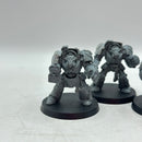 Warhammer 40k: Space Marines Terminators with Forge World Shoulder Pads (AZ012)