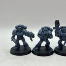 Warhammer 40k: Space Marines Space Wolves Blood Claws (AE081)