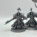 Warhammer 40k: Adeptus Custodes Allarus Terminators (AD139)