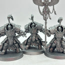 Warhammer 40k: Adeptus Custodes Allarus Terminators (AD139)