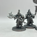 Warhammer 40k: Adeptus Custodes Wardens (BI119)