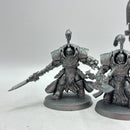 Warhammer 40k: Adeptus Custodes Allarus Terminators (BC107)