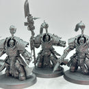 Warhammer 40k: Adeptus Custodes Allarus Terminators (BC107)