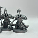 Warhammer 40k: Adeptus Custodes Allarus Terminators (BC107)