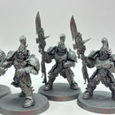 Warhammer 40k: Adeptus Custodes Custodian Guard (BI078)