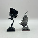 Warhammer The Old World: Dark Elves Black Ark Fleetmaster and Assassin (AD054)