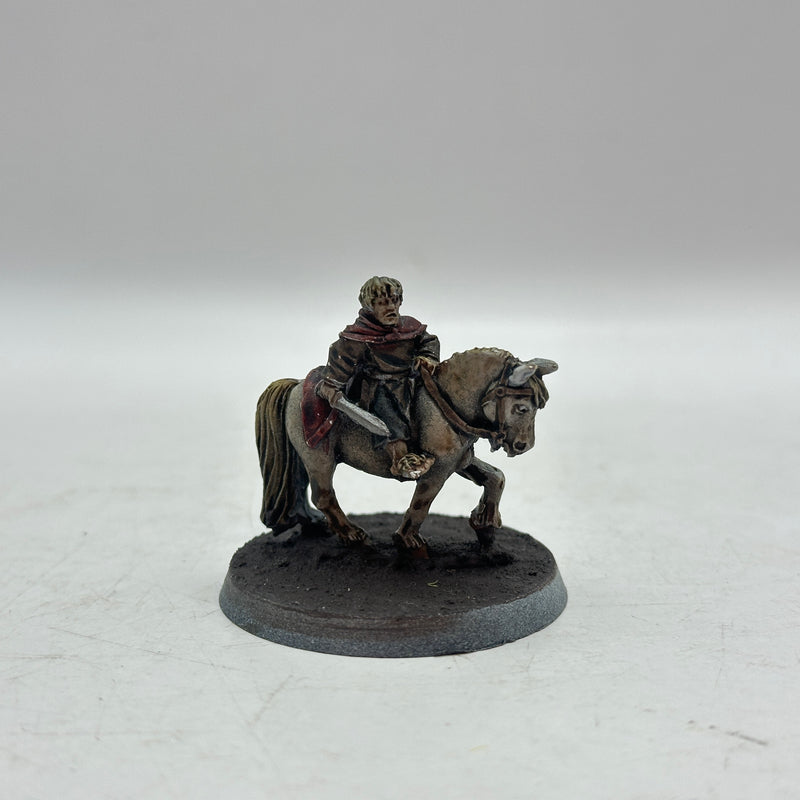 Warhammer Lord of the Rings: The Shire The Scouring of the Shire Hobbits - One Missing Arm (AA164)