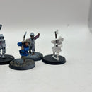 Warhammer Lord of the Rings: The Shire Hobbit Militia (AD010)