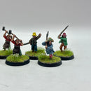 Warhammer Lord of the Rings: The Shire Hobbit Militia - Painted (BC011)