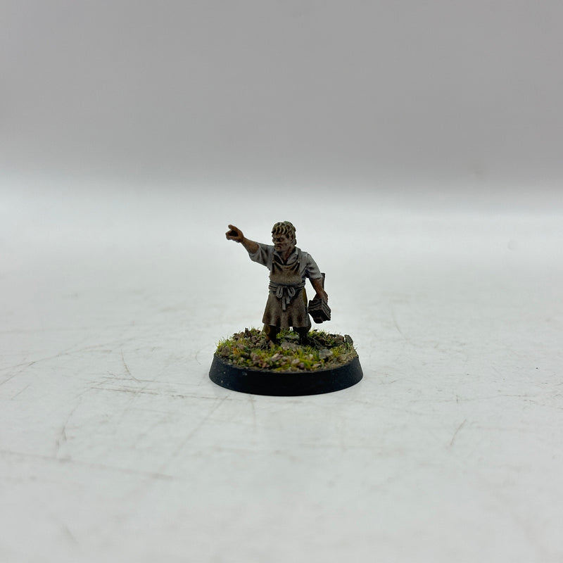 Warhammer Lord of the Rings: The Shire Vagabonds and Shirrifs of the Shire (AH021)