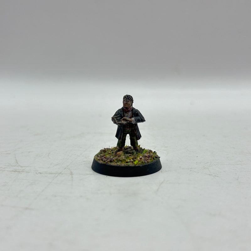 Warhammer Lord of the Rings: The Shire Vagabonds and Shirrifs of the Shire (AH021)