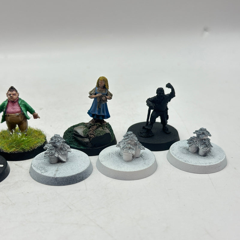 Warhammer Lord of the Rings: The Shire Heroes (BC024)