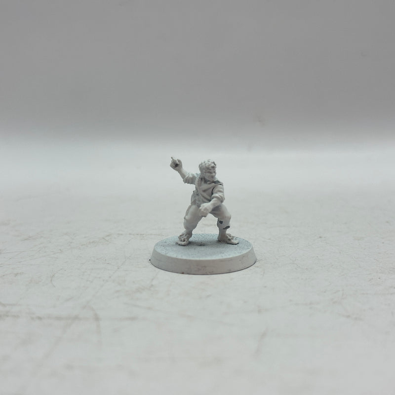 Warhammer Lord of the Rings: The Shire Personalities of the Shire 1 and 2 (AM009)