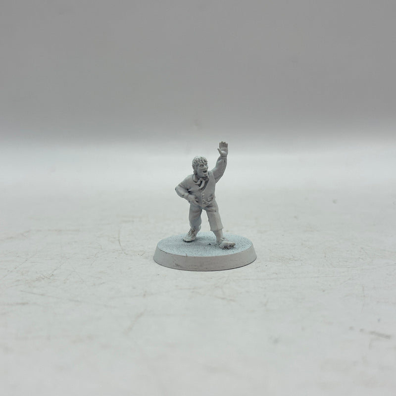 Warhammer Lord of the Rings: The Shire Personalities of the Shire 1 and 2 (AM009)