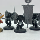 Warhammer 40k: Space Marine Blood Angels Sanguinary Guard OLD (BJ027)
