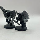 Warhammer 40k: Space Marine Blood Angels Sanguinary Guard OLD (BJ027)