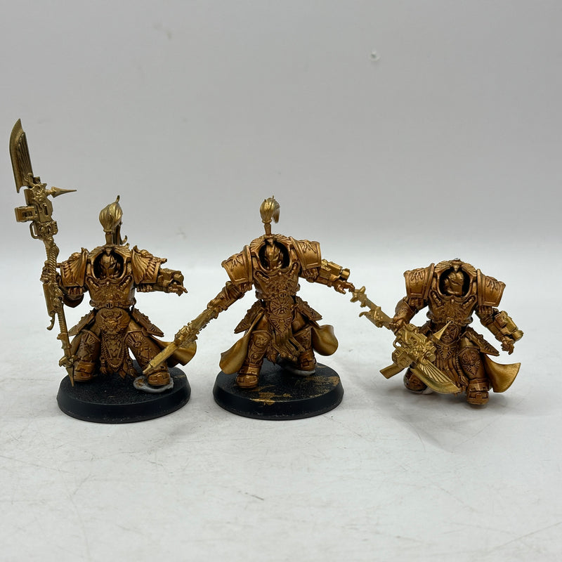 Warhammer 40k: Adeptus Custodes Allarus Custodes (AI118)