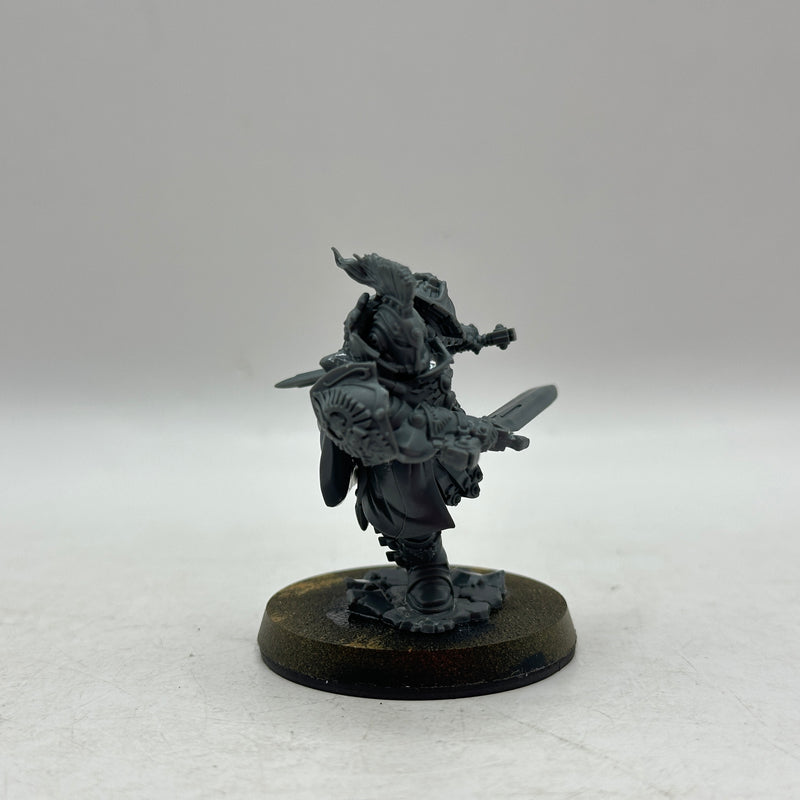 Warhammer 40k: Adeptus Custodes Blade Champion (AZ173)