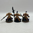 Warhammer 40k: Adeptus Custodes Allarus Custodes (AF002)