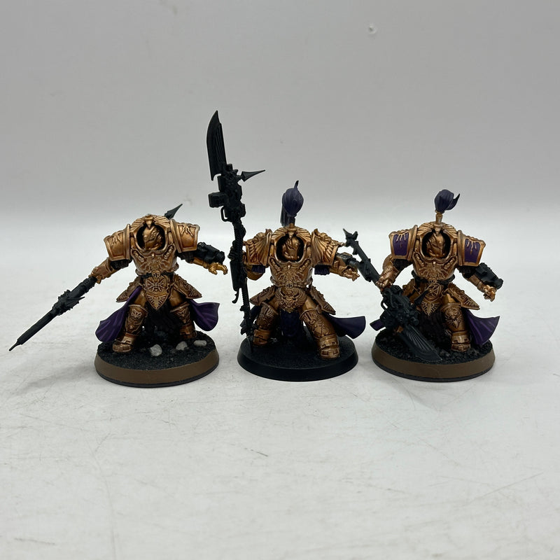 Warhammer 40k: Adeptus Custodes Allarus Custodes (AF002)