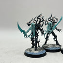 Warhammer Age of Sigmar: Sylvaneth Spite-Revenants - Well Painted (AD042)