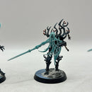 Warhammer Age of Sigmar: Sylvaneth Spite-Revenants - Well Painted (AD042)