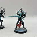 Warhammer Age of Sigmar: Sylvaneth Spite-Revenants - Well Painted (AD042)