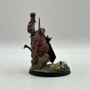 Warhammer Age of Sigmar: Maggotkin of Nurgle Lord of Blights - Well Painted (AD039)
