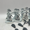Warhammer Age of Sigmar: Lumineth Realm-Lords Vanari Auralan Wardens (BA057)