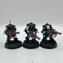 Warhammer 40k: Space Marines Black Templars Eradicators (AW163)