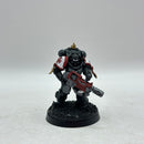 Warhammer 40k: Space Marines Black Templars Eradicators (AW163)