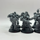 Warhammer 40k: Emperor's Children Tormentors (AF092)