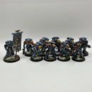 Warhammer 40k: Space Marines Space Wolves Intercessors and Ancient - Well Painted (AI228)