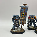 Warhammer 40k: Space Marines Space Wolves Intercessors and Ancient - Well Painted (AI228)