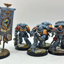 Warhammer 40k: Space Marines Space Wolves Intercessors and Ancient - Well Painted (AI228)