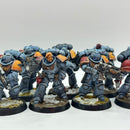 Warhammer 40k: Space Marines Space Wolves Intercessors and Ancient - Well Painted (AI228)