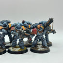 Warhammer 40k: Space Marines Space Wolves Intercessors and Ancient - Well Painted (AI228)