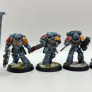 Warhammer 40k: Space Marines Space Wolves Intercessors and Ancient - Well Painted (AI228)