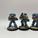 Warhammer 40k: Space Marines Space Wolves Intercessors - Well Painted (AI128)