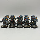Warhammer 40k: Space Marines Space Wolves Reivers - Well Painted (BI042)