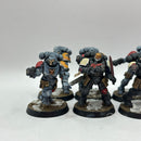 Warhammer 40k: Space Marines Space Wolves Reivers - Well Painted (BI042)