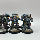 Warhammer 40k: Space Marines Space Wolves Reivers - Well Painted (BI042)