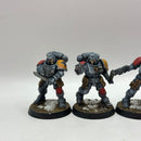 Warhammer 40k: Space Marines Space Wolves Reivers - Well Painted (BI042)