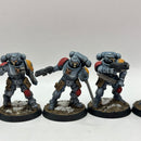 Warhammer 40k: Space Marines Space Wolves Reivers - Well Painted (BI042)