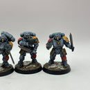 Warhammer 40k: Space Marines Space Wolves Reivers - Well Painted (BI042)