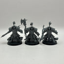 Warhammer 40k: Adeptus Custodes Allarus Custodians (BI007)