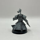 Warhammer 40k: Adeptus Custodes Allarus Custodians (BI007)