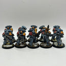 Warhammer 40k: Space Marines Space Wolves Intercessors - Well Painted (BI098)