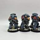 Warhammer 40k: Space Marines Space Wolves Intercessors - Well Painted (BI098)